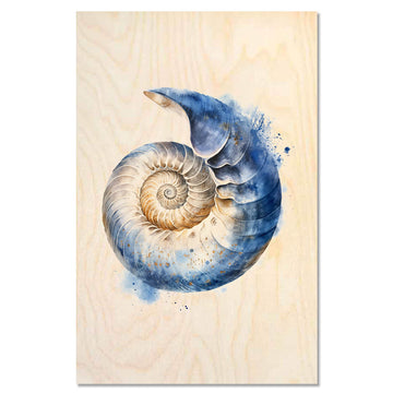 Nautilus shell – Ocean Geometry