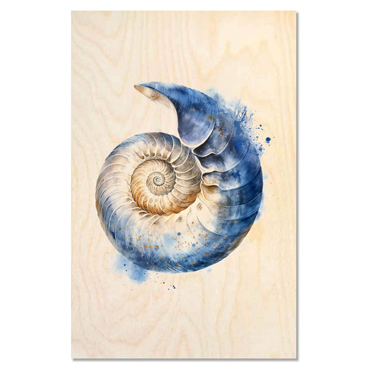 Nautilus shell – Ocean Geometry