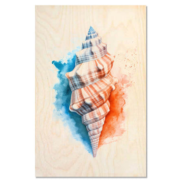 Conch shell – Coastal Calm