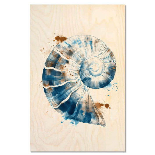 Spiral sea shell – Sea Harmony