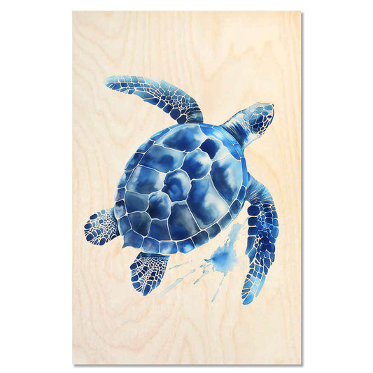 Sea turtle – Calm Journey