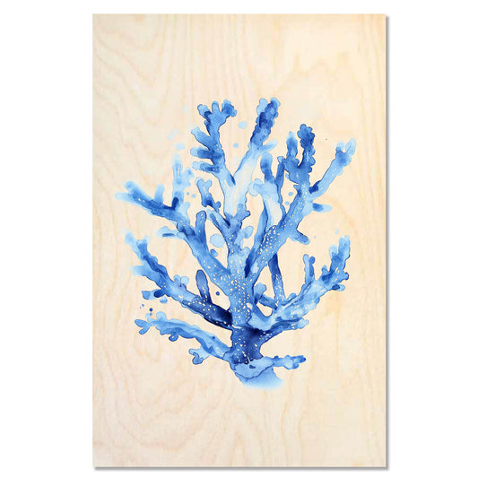 Blue coral – Marine Fragility