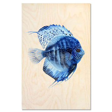 Discus fish 1 – Tropical Glow