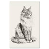 Cat Maine Coon