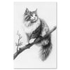 Cat Norwegian Forest Cat1