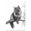 Cat Norwegian Forest Cat2