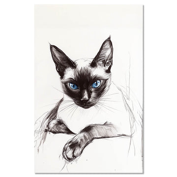 Cat Siamese Cat1
