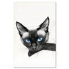 Cat Siamese Cat 2