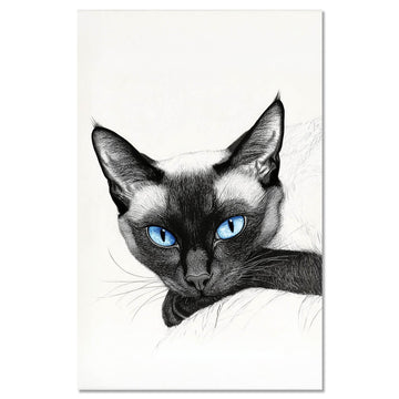 Cat Siamese Cat 2