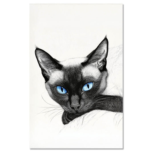 Cat Siamese Cat 2