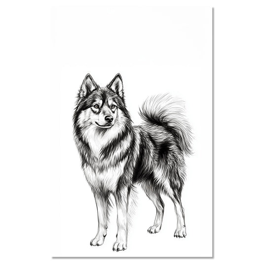 Dog Jmthund standing proudly