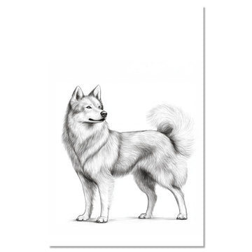 Dog Jmthund standing proudly 1