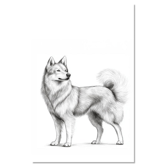 Dog Jmthund standing proudly 1