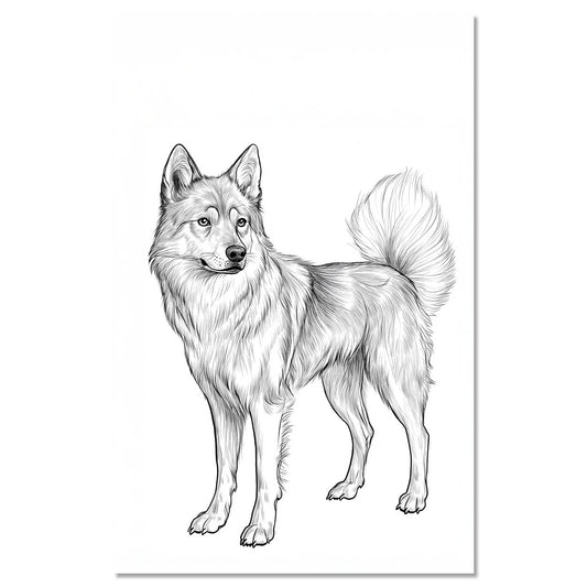 Dog Jmthund standing proudly 3