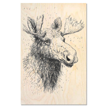 Vintage moose head