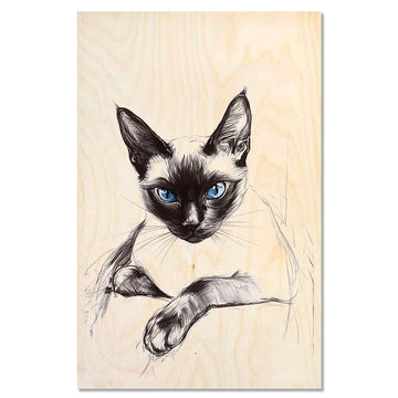 Cat Siamese Cat1