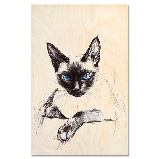 Siamese Cat 1