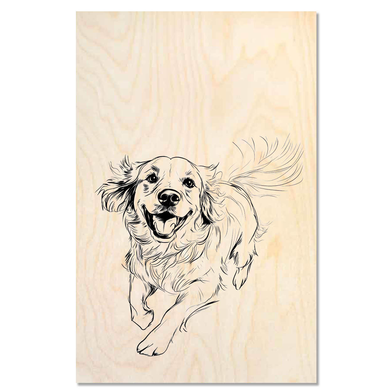Dogs