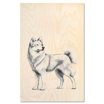 Jmthund standing proudly 1