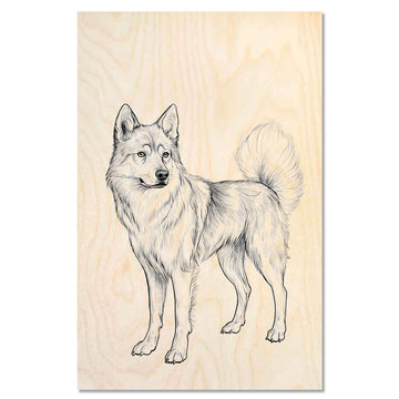 Jmthund standing proudly 2