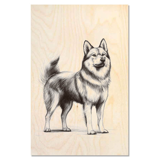 Jmthund standing proudly 3