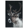 Reindeer in snow - close-up portrait