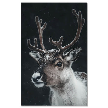 Reindeer in snow - close-up portrait