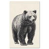 Vintage bear illustration