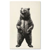 Vintage brown bear illustration