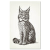 Vintage lynx illustration