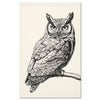 Vintage owl illustration