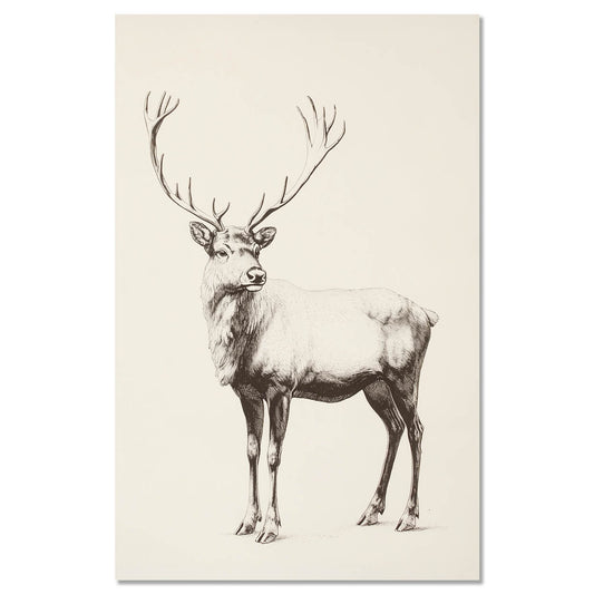 Vintage reindeer illustration