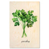 Parsley Bunch — Fresh green parsley