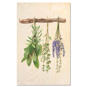 Rosemary Sprigs — Aromatic rosemary
