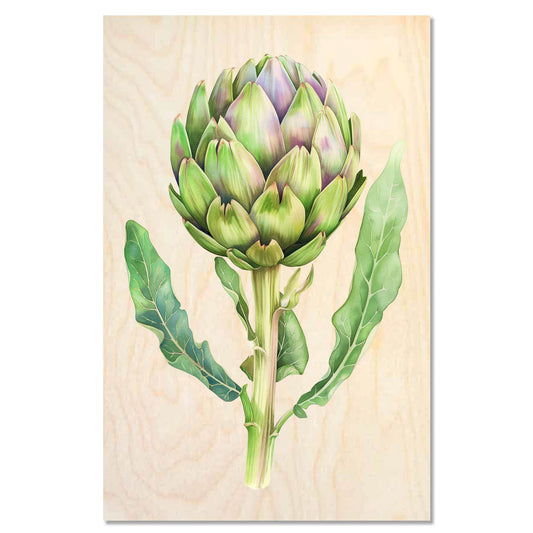 Artichoke — Detailed green artichoke