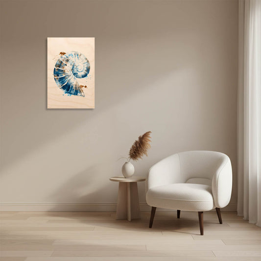 Spiral sea shell – Sea Harmony