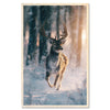 Forest deer - winter run