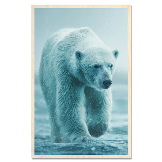Polar bear - pure beauty
