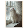 Fluffy cat - winter embrace