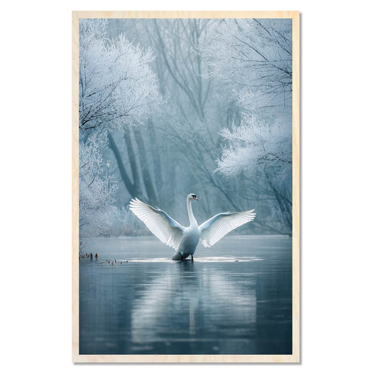 White swan - winter elegance