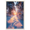 Winter forest path - snowy journey